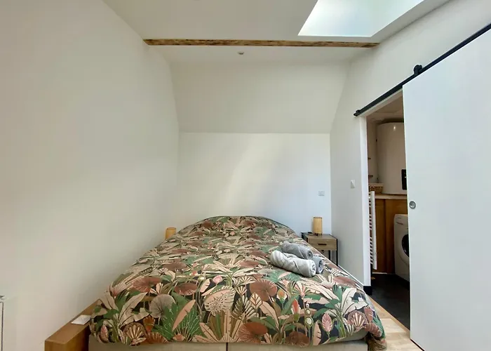 Apartment La Taniere - 341 *